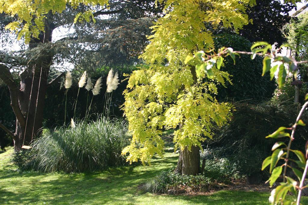 Le Cedre Bleu Bed & Breakfast Lisieux Exterior photo